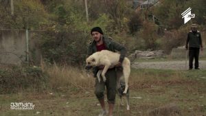 ჩესვუდის რაინდები 02 17 2016 1080p.mp4_20160216_140048.910