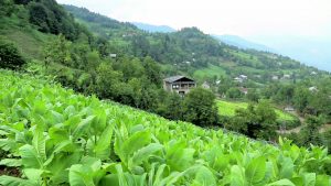 02_02_METAMBAQOEEBI QEDIDAN.mp4_20160201_191948.717