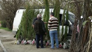 08_03_MENERGE GIORGI SHUBITIDZE.mp4_20160307_165448.259