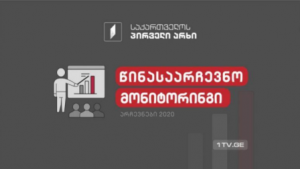 „მოამბე“ – საპარლამენტო არჩევნების მონიტორინგის შედეგები (პირველი ნოემბერი – 30 ნოემბერი)