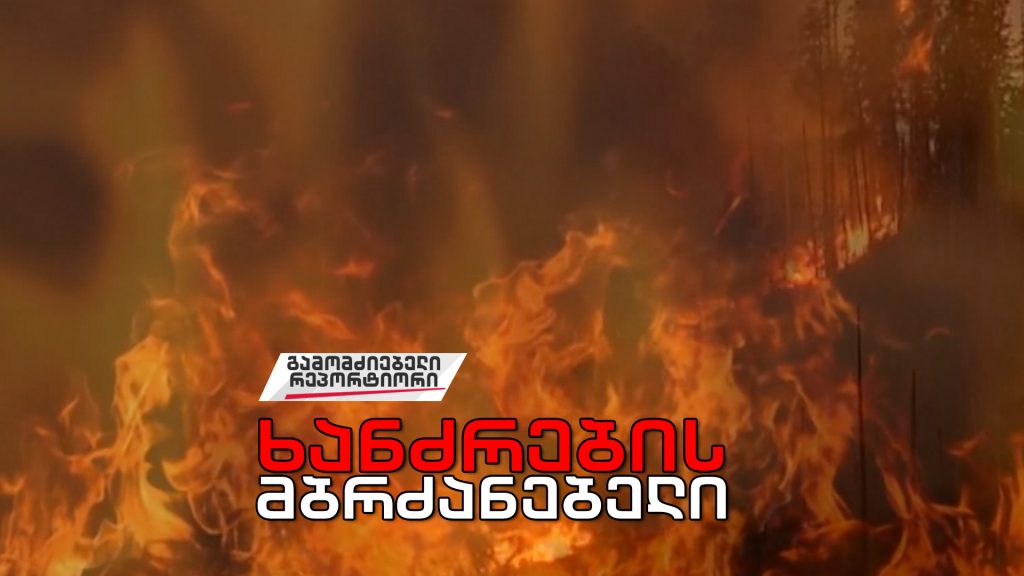 „ხანძრების მბრძანებელი – სახიფათო პროგნოზი, რომელიც უნდა იცოდე!“