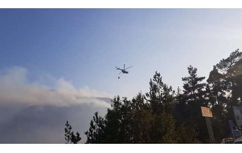 Borcomi dərəsində yanğını söndürməyə 6 helikopter və bir təyyarə çalışır