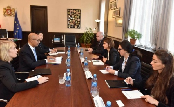 Թամար Չուգոշվիլին հանդիպել է ԵԱՀԿ-ի հատուկ ներկայացուցչի հետ