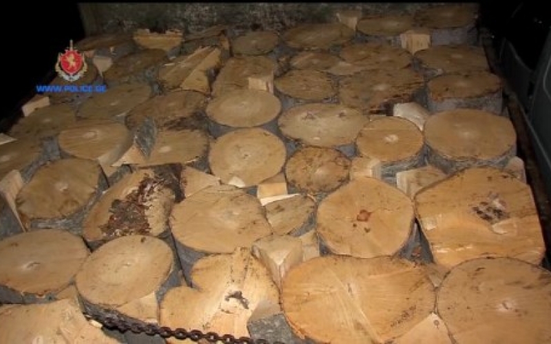 161 cases of illegal cut-down of trees and bushes revealed in Samtskhe-Javakheti