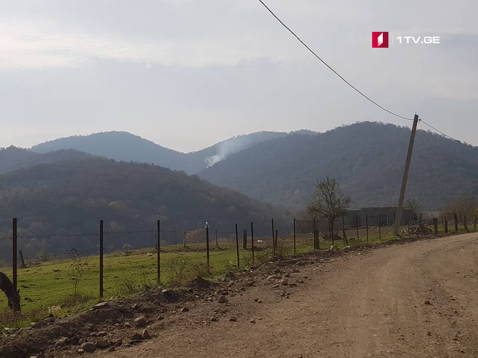 ბოლნისში, სოფელ დარბაზთან ტყის მასივში ხანძარი ლოკალიზებულია