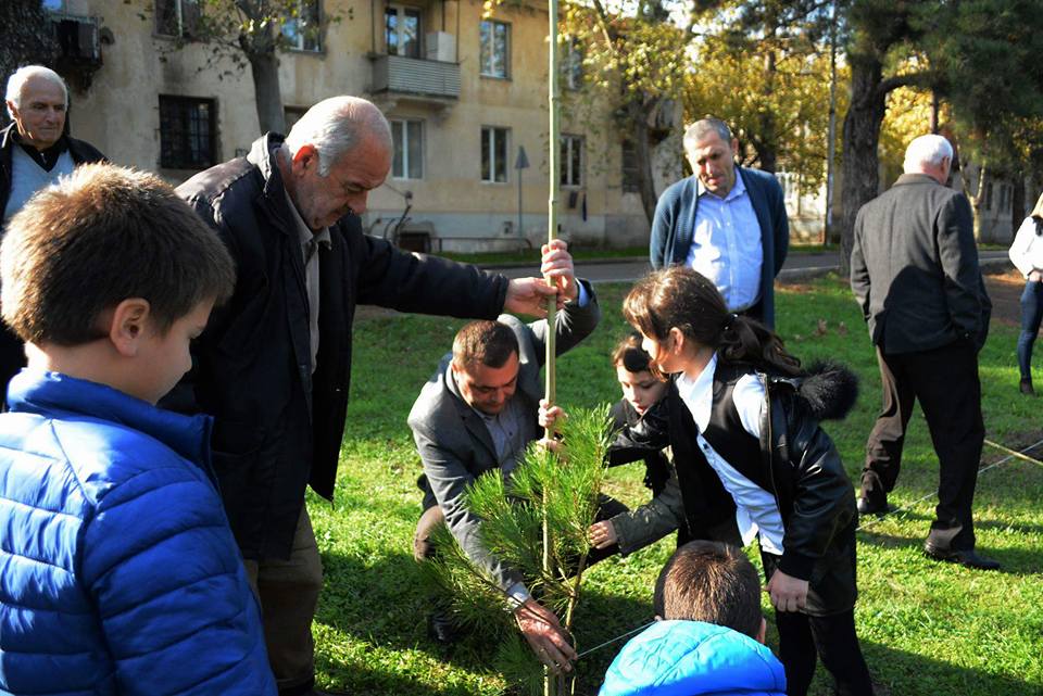 რუსთავში, თბილისის ქუჩაზე გამწვანების აქცია გაიმართა