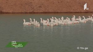 11 19 2017 1080p.mp4_000038427
