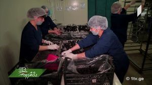 11 26 2017 1080p.mp4_000747011