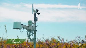 11 26 2017 1080p.mp4_001078283