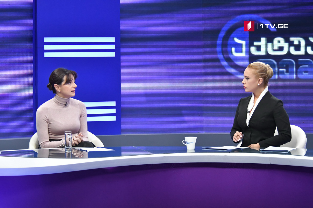 მაია ბითაძე - არის თემები, რომელიც ტენდერში გამარჯვებულ კომპანიას არ უნდა აპატიო