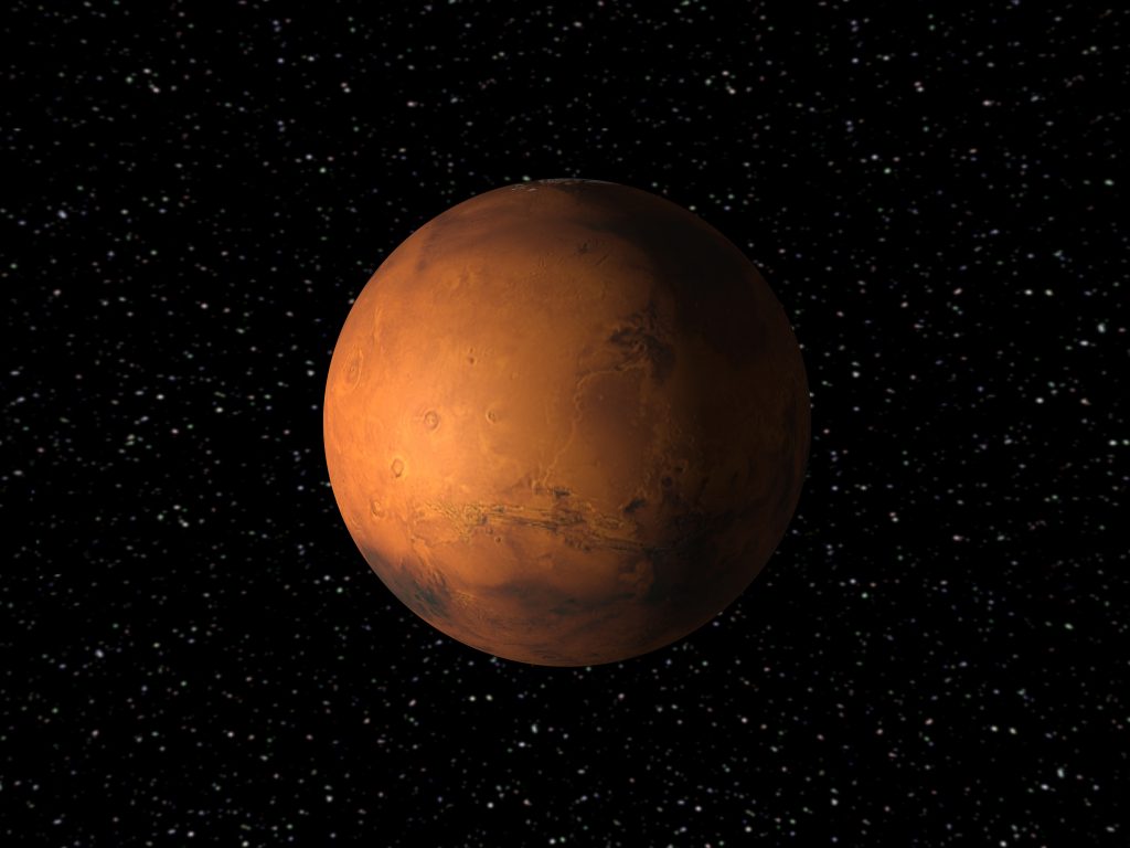 მარსის შესაძლო „მკვიდრნი“ - ანტარქტიკული სოკოები