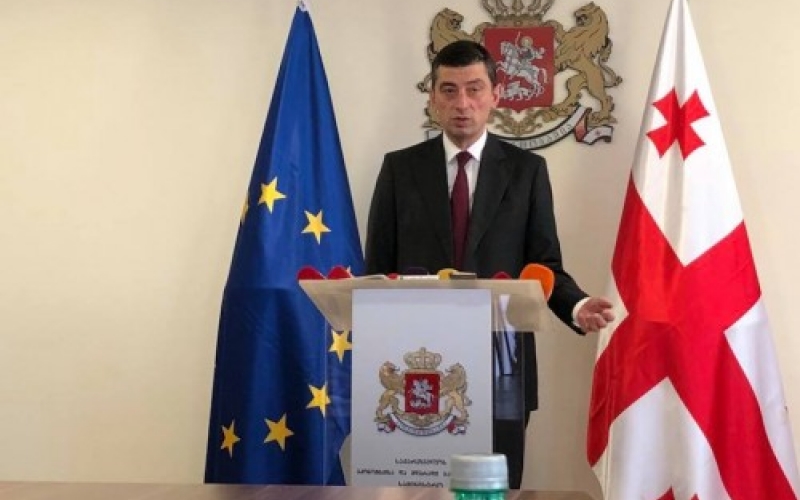 Георгий Гахария: мы успешно преодолеем колебания лари