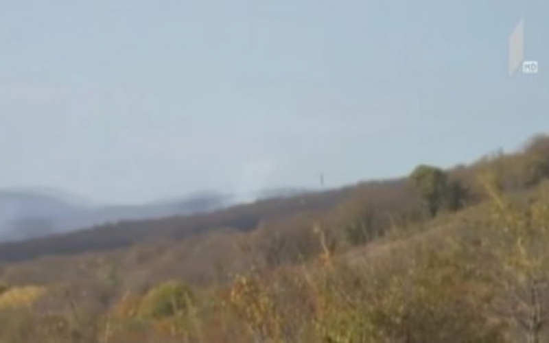 Fire liquidated in Chailuri forest in Kakheti region