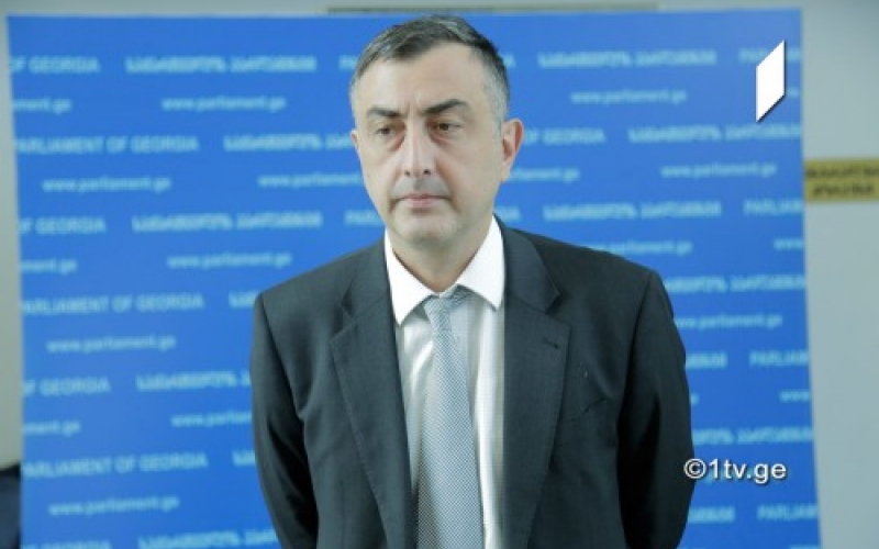 Серго Ратиани: парламентское большинство пытается приукрасить принятую Конституции, но у него это не получится