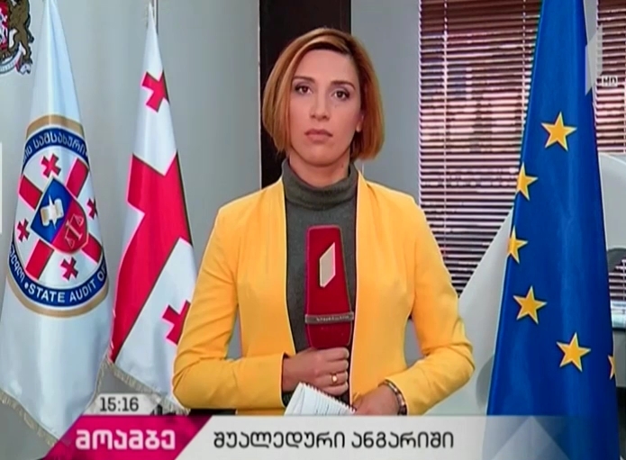 აუდიტის სამსახურის ახალი ხელმძღვანელი NGO-ებს ხვდება