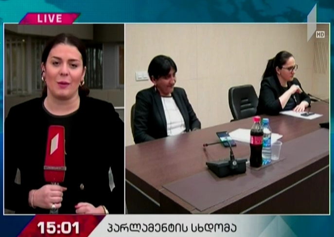 პარლამენტი სახალხო დამცველს ირჩევს