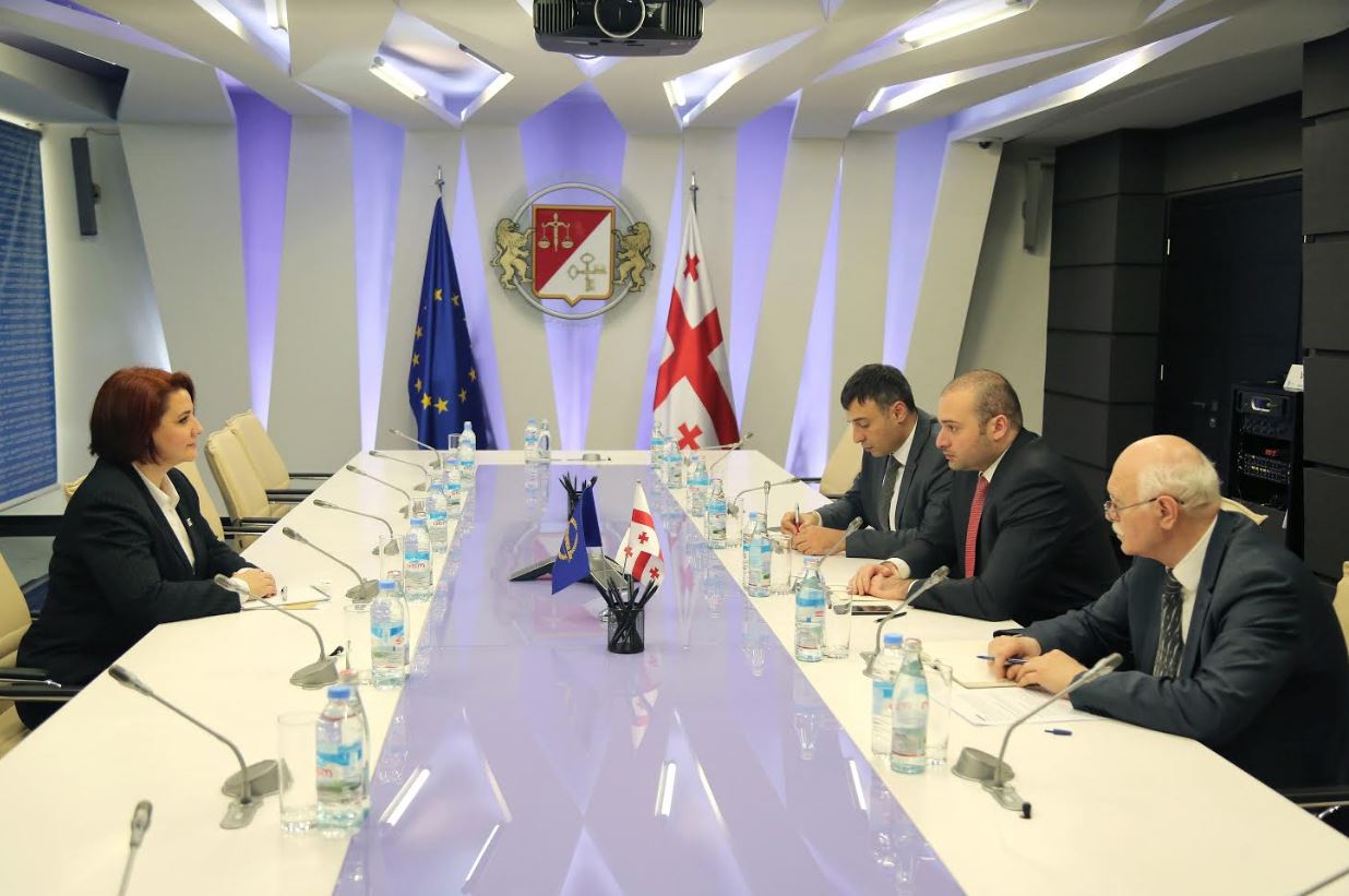 მამუკა ბახტაძე ADB-ის მუდმივ წარმომადგენელს იეშიმ ელჰან კაილარს შეხვდა