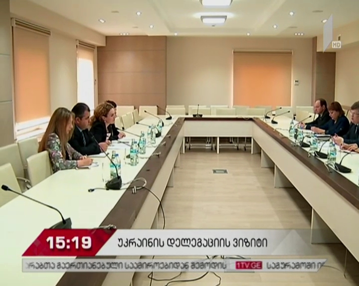 ქეთევან ციხელაშვილი უკრაინის ვიცე-პრემიერ პაველ როზენკოს შეხვდა