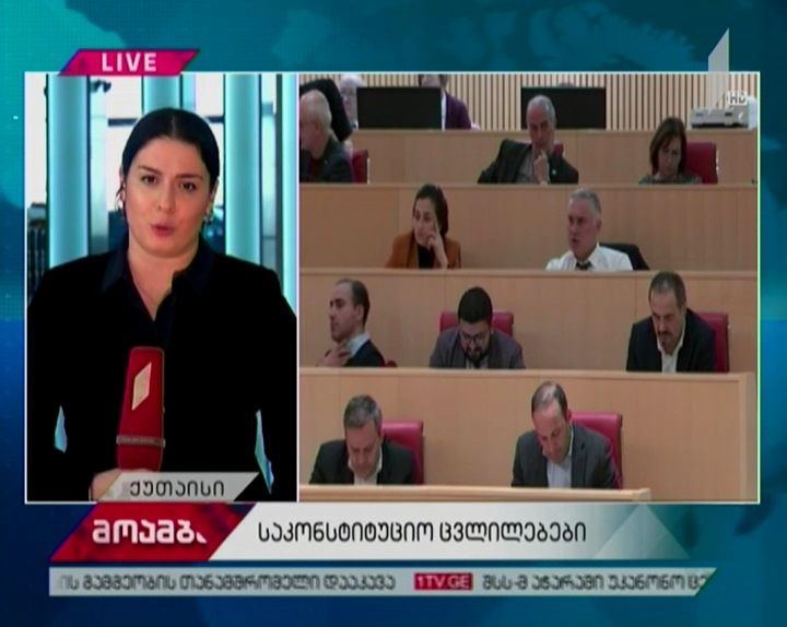 უარი ბონუს სისტემას და ბლოკების ერთჯერად დაშვებას - მსჯელობა საკონსტიტუციო ცვლილებებზე