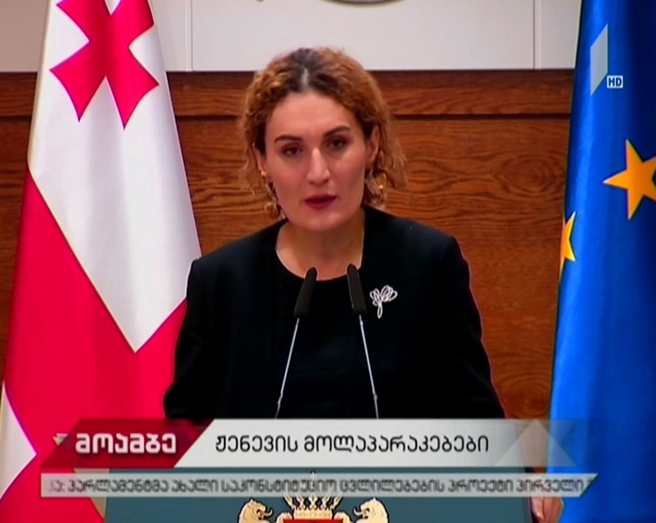 ქეთევან ციხელაშვილი ჟენევის მოლაპარაკებების მორიგ რაუნდს აფასებს