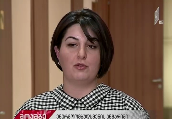 ენერგოომბუდსმენმა 2017 წლის საქმიანობა შეაჯამა