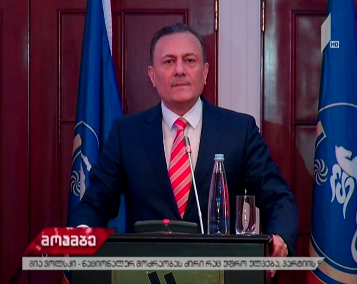 შალვა ნათელაშვილი საპრეზიდენტო არჩევნებში კენჭს იყრის