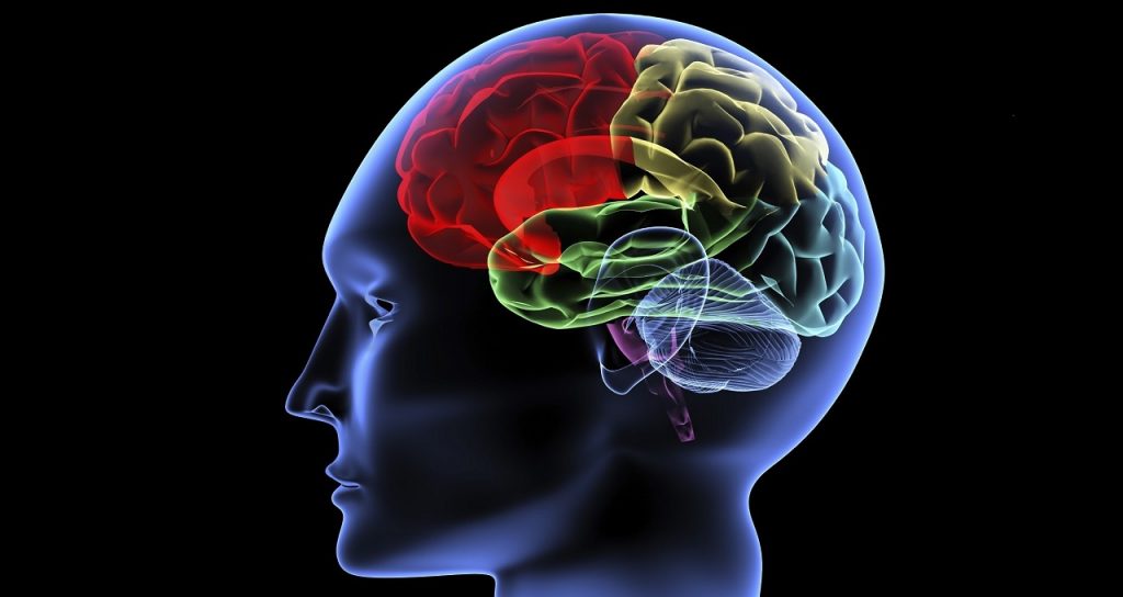 ტვინში აღმოჩენილია უბანი, რომელშიც შესაძლებელია ნიკოტინზე დამოკიდებულების დაბლოკვა