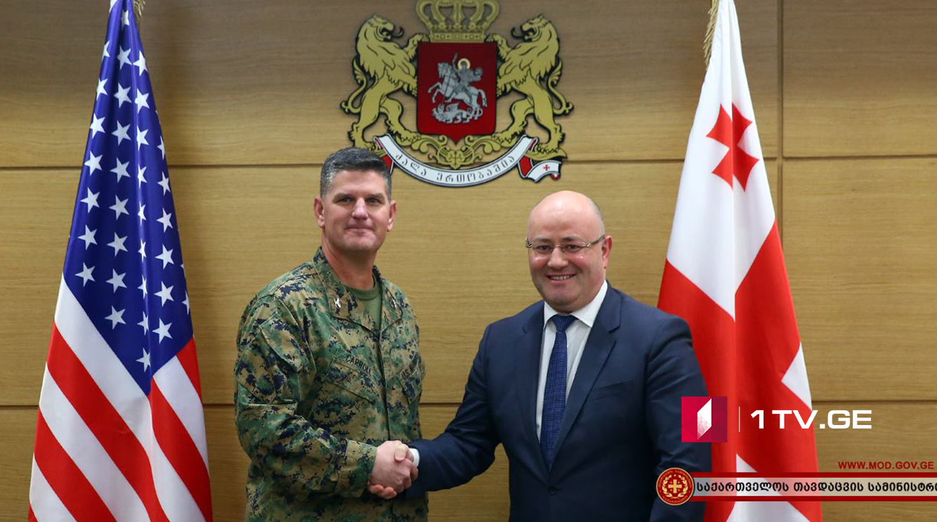 საქართველოს თავდაცვის მინისტრი პოლკოვნიკ ჯონ ქაროლს შეხვდა - რაზე ისაუბრეს მხარეებმა 