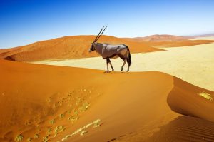namibia