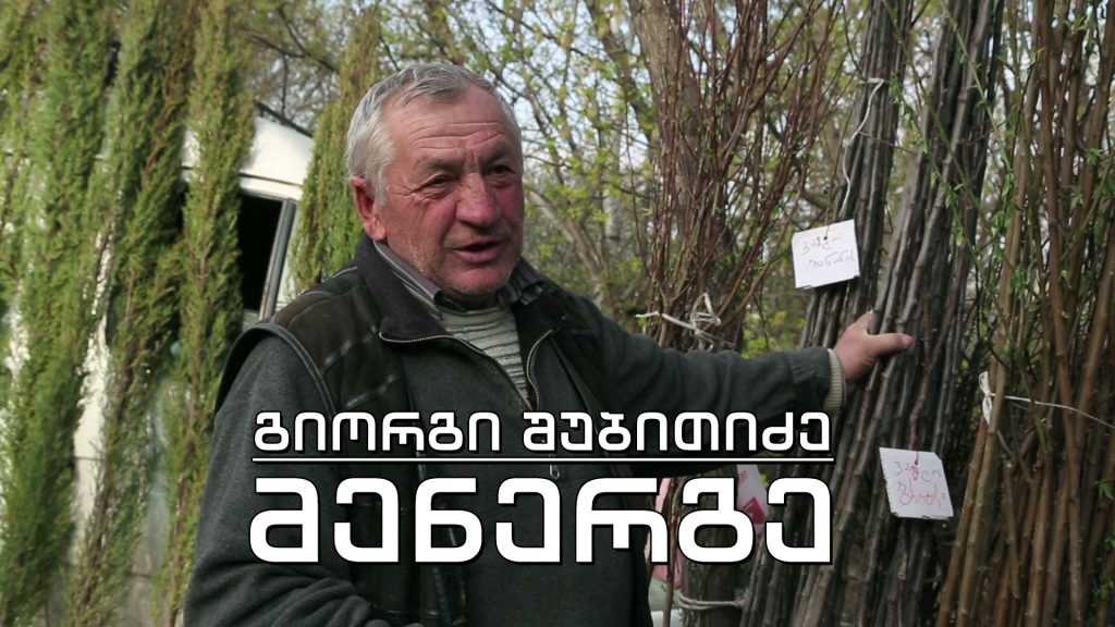 ეპოქის ფრაგმენტები – მენერგე გიორგი შუბითიძე