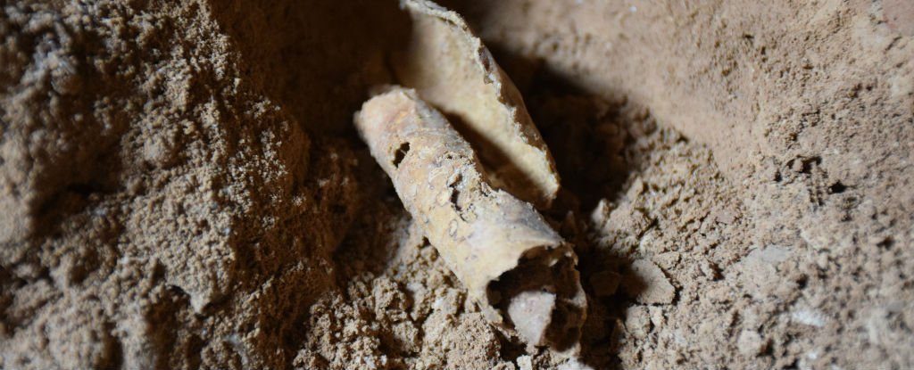 ბიბლიის მუზეუმში დაცული მკვდარი ზღვის გრაგნილები ყალბი აღმოჩნდა