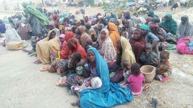 ნიგერიაში „ბოკო ჰარამის“ ტყვეობიდან 700-ზე მეტი ადამიანი გათავისუფლდა