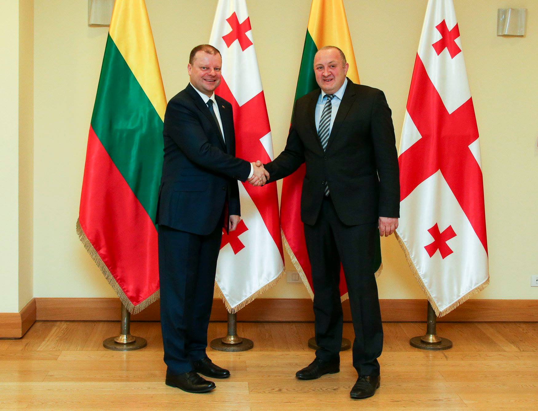 გიორგი მარგველაშვილმა ლიტვის პრემიერთან ევროკავშირისა და ნატო-ს ფორმატებში თანამშრომლობის საკითხები განიხილა