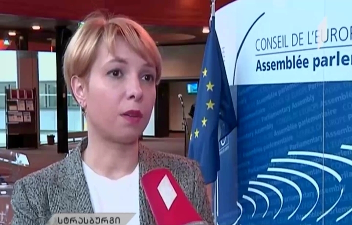 საქართველოს ომბუდსმენი ევროსაბჭოს საპარლამენტო ასამბლეაზე სიტყვით გამოვა