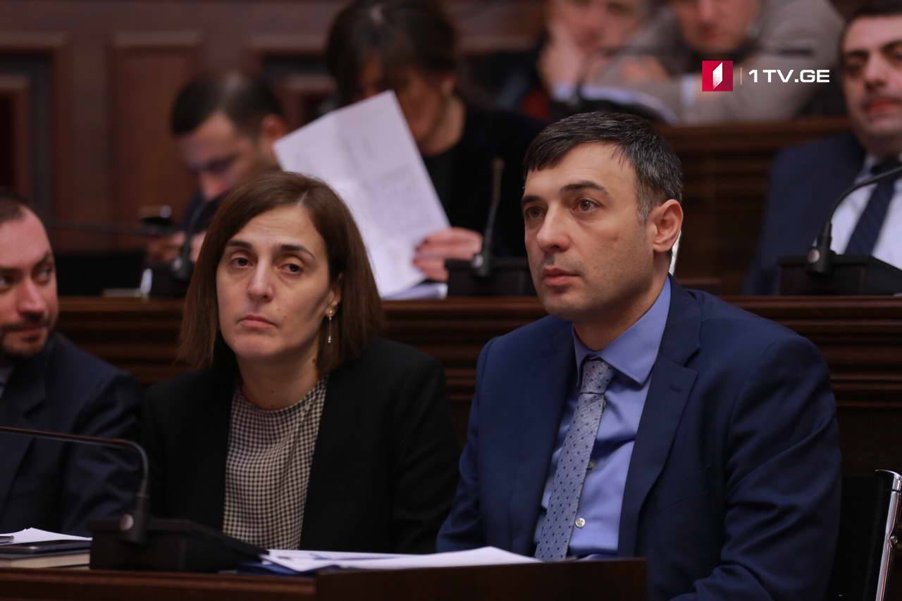 ნიკოლოზ გაგუა - 30-35 წლის შემდეგ დაგროვებითი პენსიის ოდენობა ექვსჯერ გაიზრდება 