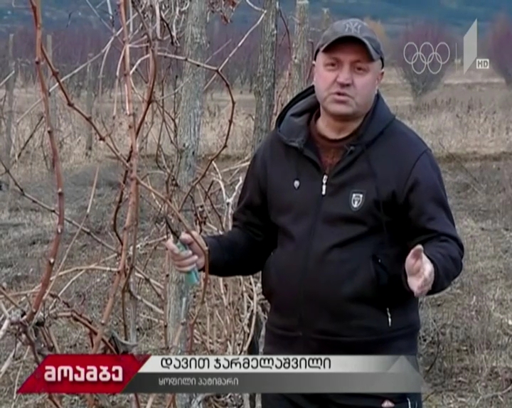 რესოციალიზაციის პროგრამა