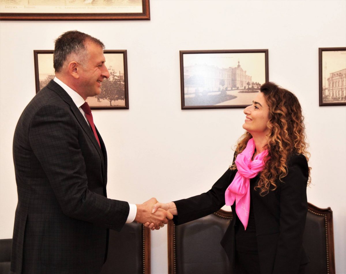 საქართველო-თურქეთის საზღვარზე მიმოსვლა კვლავ ძველი რეგულაციებით ხორციელდება