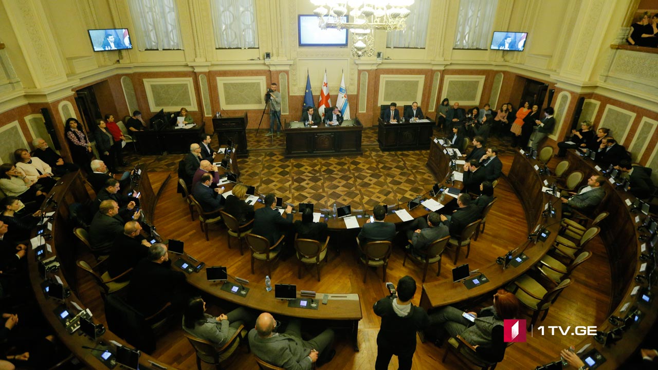 შეხვედრა საკრებულოში