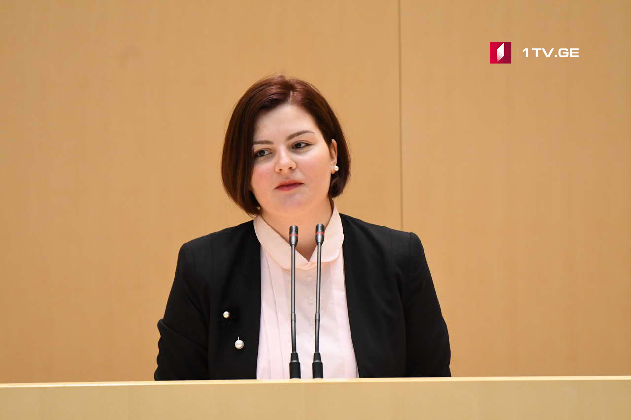 ანა ნაცვლიშვილმა იურიდიულ საკითხთა კომიტეტის სხდომაზე სარკე მიიტანა და კოლეგებს მიმართა, ჩაიხედონ და საკუთარი თავები დაინახონ