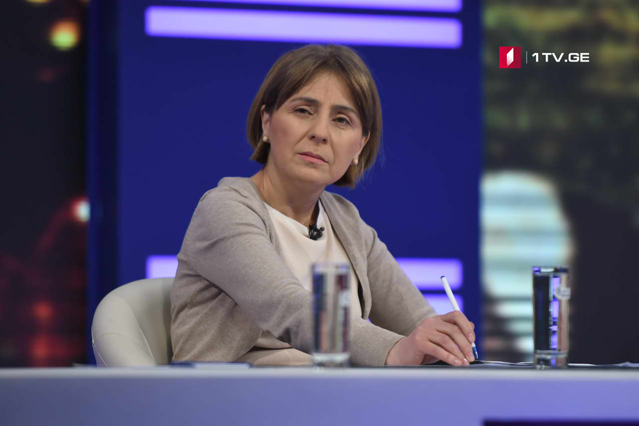 ნელი კორკოტაძე - გარემოსდაცვითი შეფასების კოდექსის მიღება წინგადადგმული ნაბიჯია