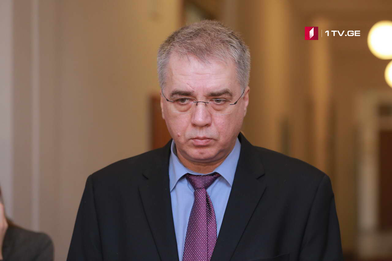 დავით სერგეენკო - შეუძლებელია, რომ ოპოზიციის ან ზურაბ ჭიაბერაშვილის მოსაწონი რამე გავაკეთოთ