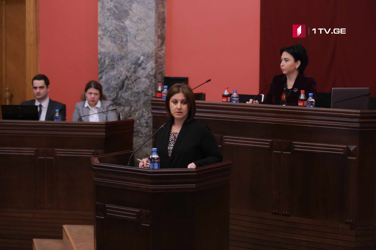თამარ ქალდანი - საქართველოში დამოუკიდებელი საგამოძიებო მექანიზმის შექმნა აუცილებელია 