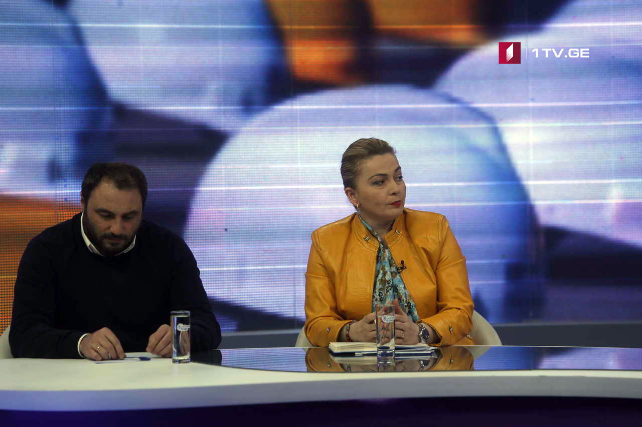 ელზა ჯგერენაია - არსებობს მექანიზმები, რომლითაც გაკონტროლდება შრომის ინსპექტორების საქმიანობა, რათა კორუფცია გამოირიცხოს