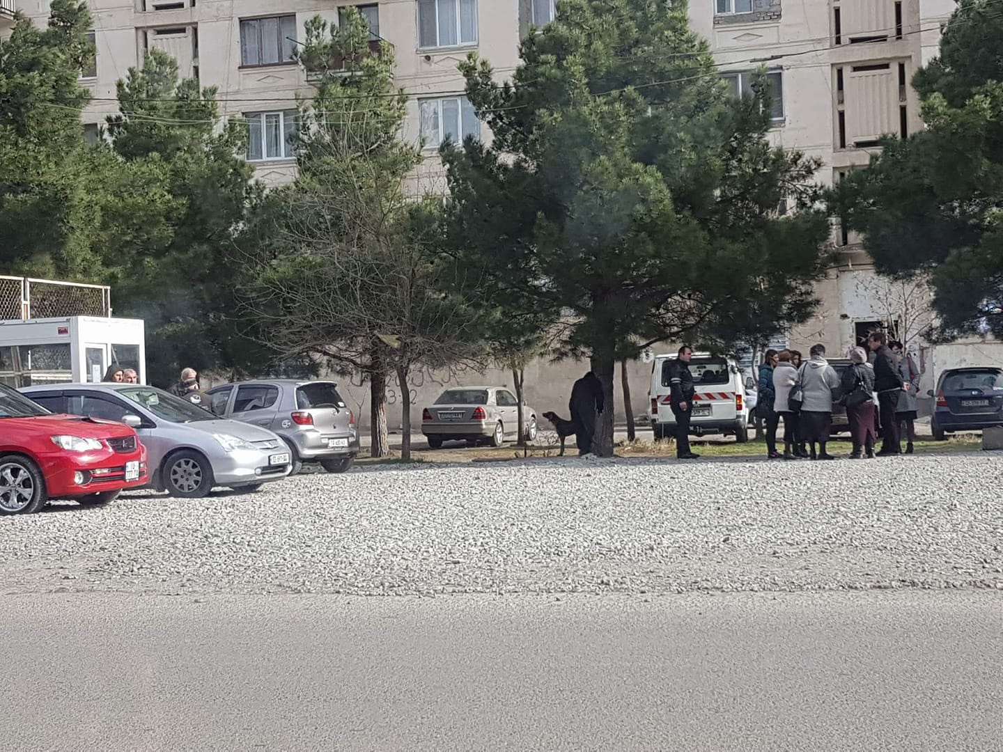 რუსთავი-თბილისის მიმართულებით მოძრავი მიკროავტობუსების ნაწილმა მუშაობა შეწყვიტა
