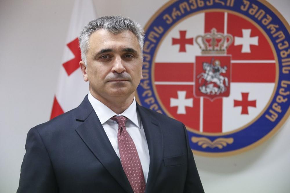 Վրաստանի նախագահի ԱՄՆ-ը ծրագրված այցի նպատակը լինելու է Վրաստանի անվտանգության երաշխիքների հաստատումը կոնգրեսի կողմից