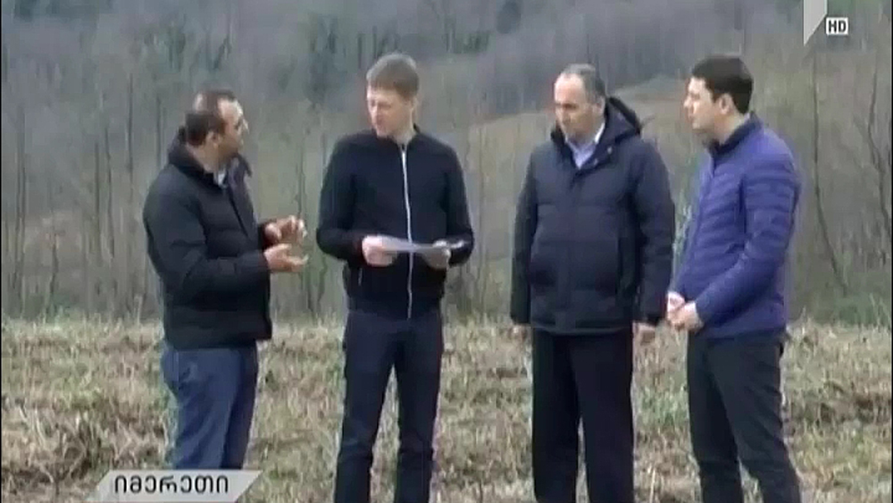 წყალტუბოს რაიონში მდებარე ჩაის პლანტაციები რეაბილიტირდება