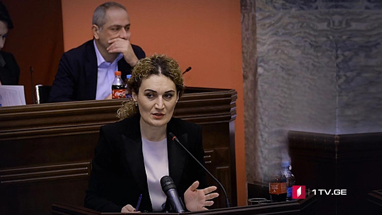 შეხვედრა პარლამენტში