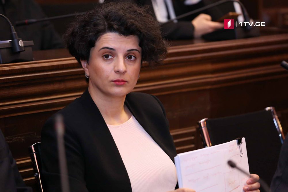 ნათია მეზვრიშვილი - „ქურდულ სამყაროსთან“ დაკავშირებულ კანონპროექტზე შენიშვნები პრაქტიკულად არ ყოფილა, რაც ძალიან კარგია