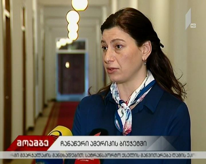 საქართველოსადმი აშშ-ის საბიუჯეტო დოკუმენტში ასახულ მხარდაჭერას ქართულ პოლიტიკურ სპექტრში აფასებენ