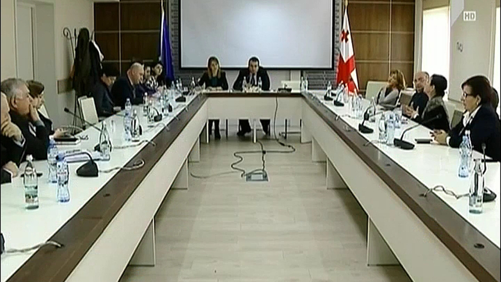 ქეთევან ციხელაშვილი IPRM-ის შეხვედრას ეხმაურება